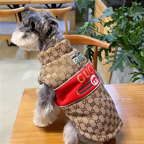 dog gucci jacket|Gucci dog jacket sale.